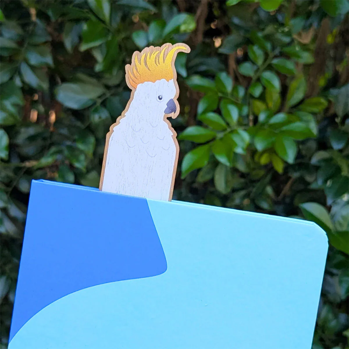Thumb 2